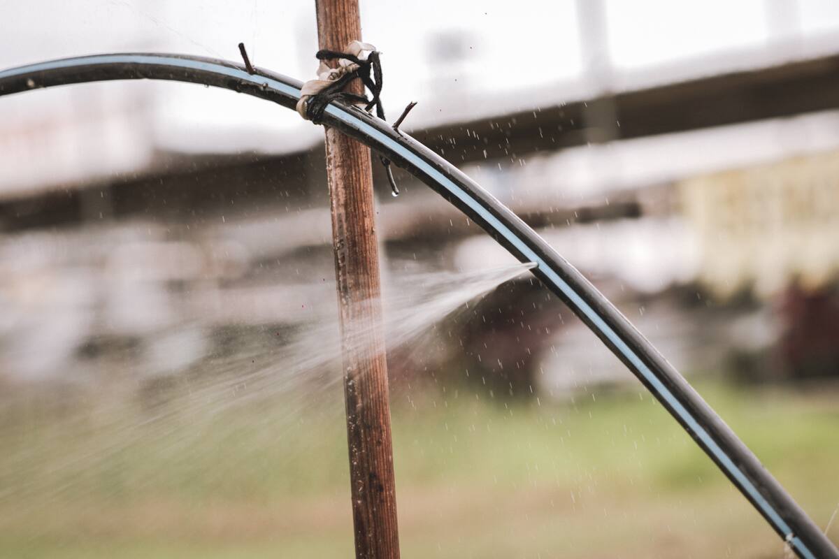 Mexicalenses utilizan 30% más de agua durante el verano