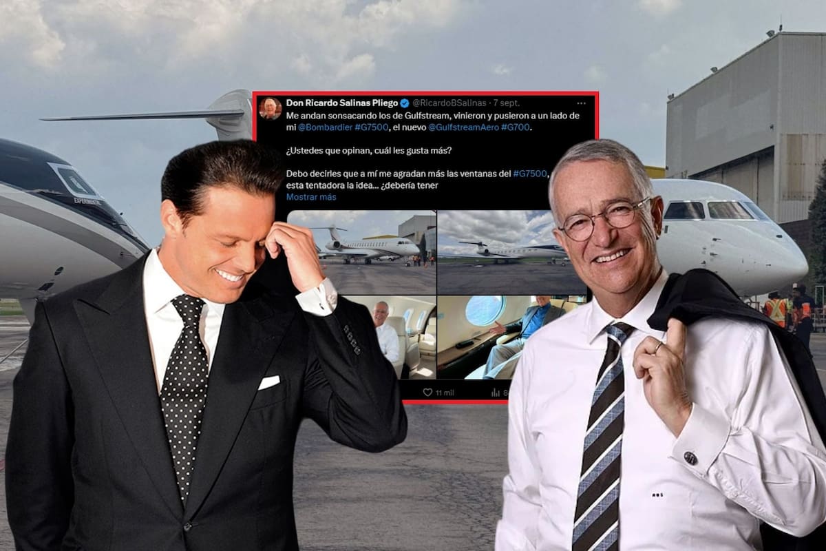 Ricardo Salinas y Luis Miguel: dilemas de jets de lujo y controversias fiscales compartidas