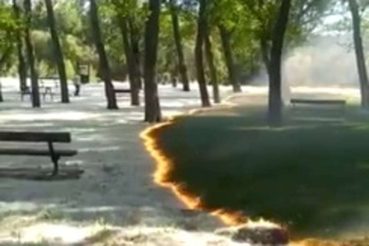 El extraño fenómeno de un incendio que deja el pasto verde