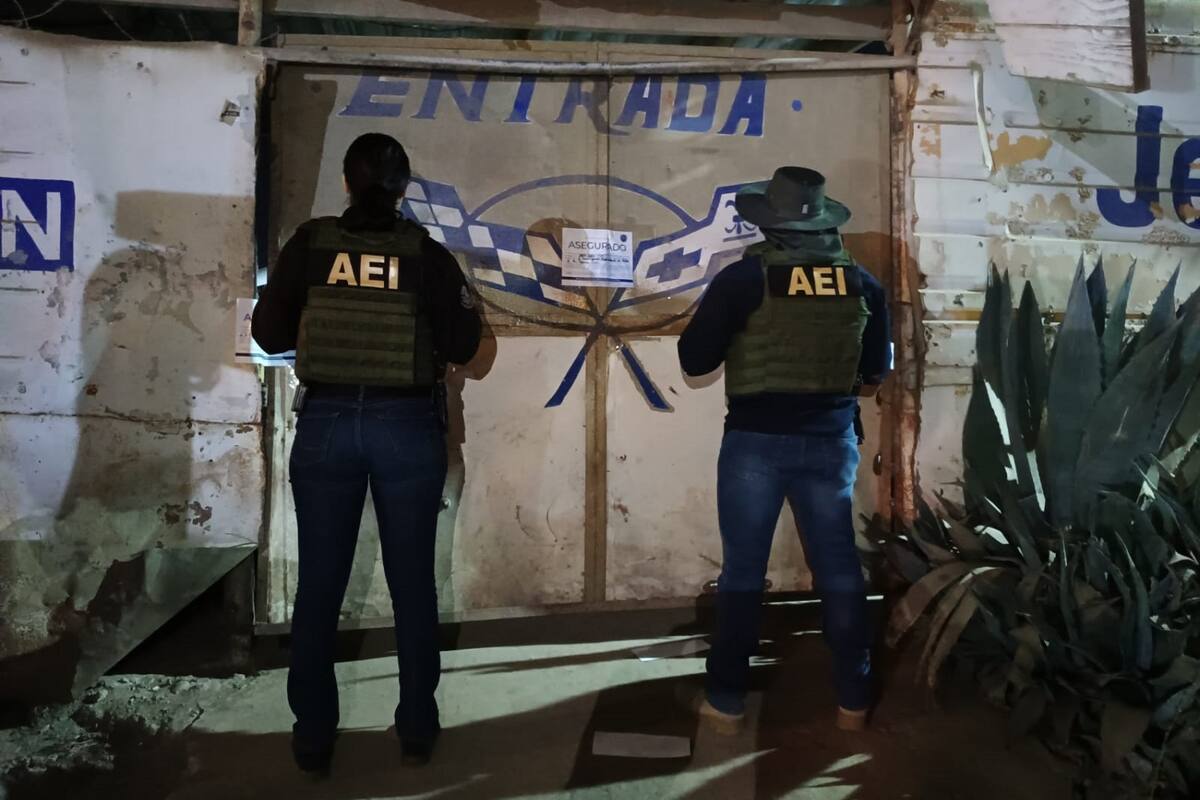 Recuperan cinco autos y detienen a uno en cateo a yonque en Tijuana