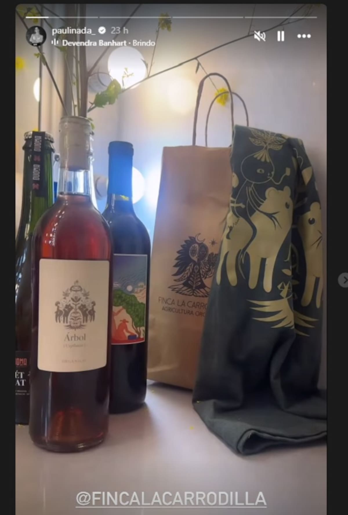 Paulina Dávila compartió que ya está en Rosarito.