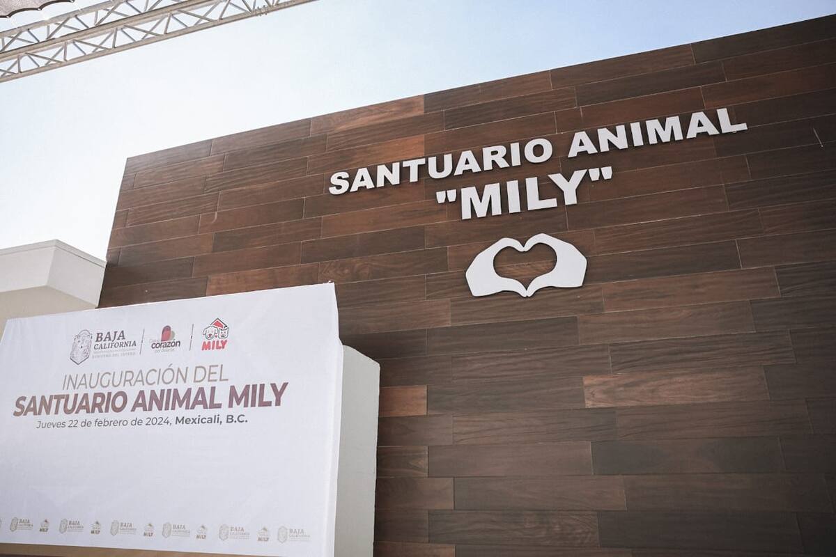 Abren puertas de Santuario Animal Mily