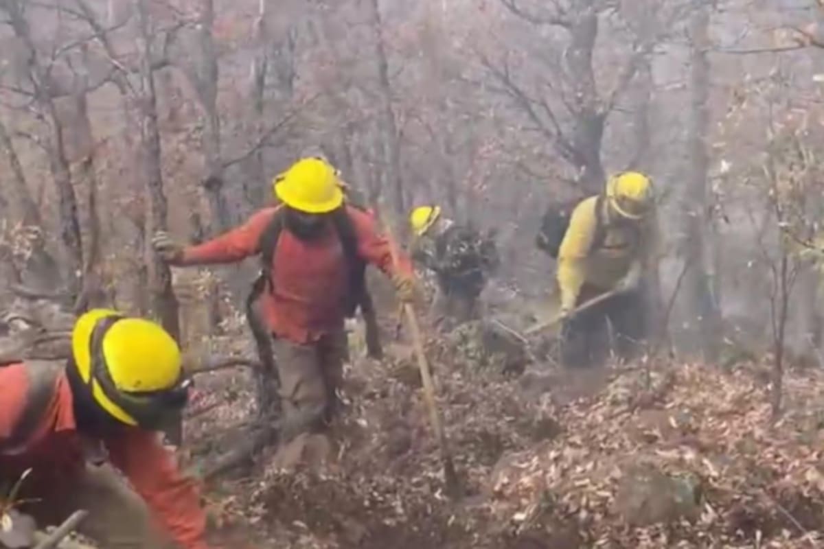 Gobierno de Sonora reporta avances en el control de incendios forestales