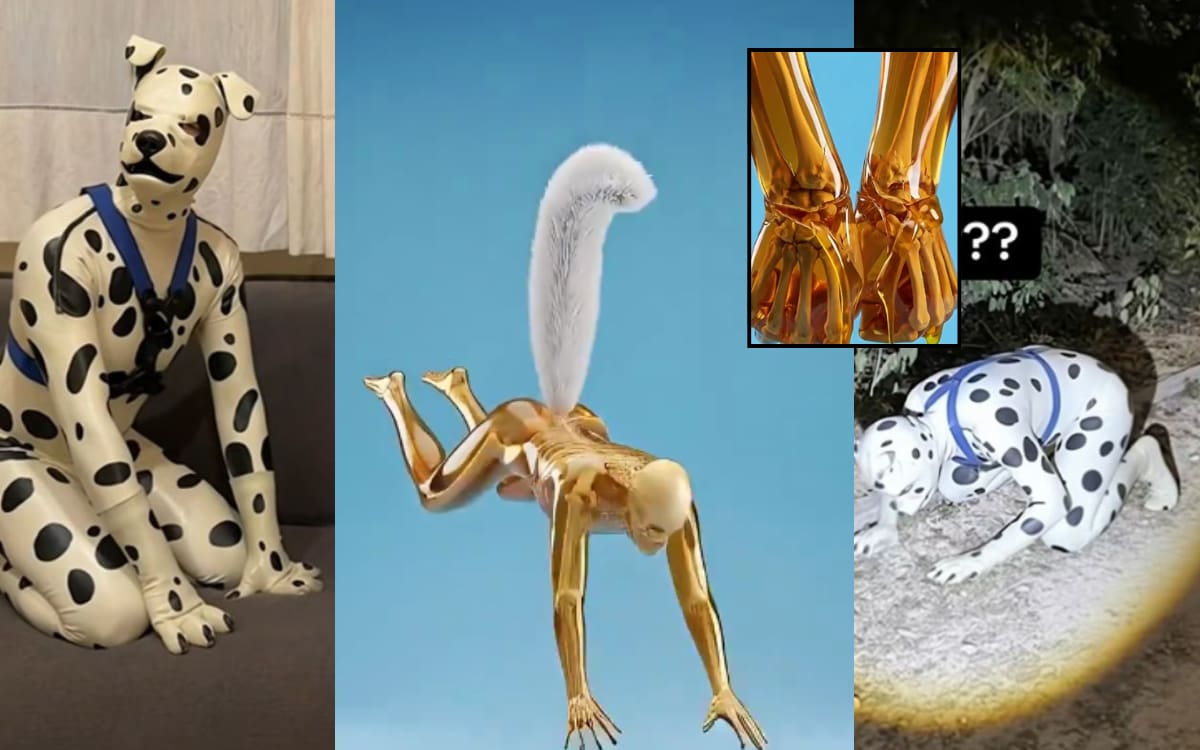 ¿Qué le pasa al cuerpo si actúas como therian por 24 horas? Los riesgos físicos que expone un video viral. Foto: captura de pantalla