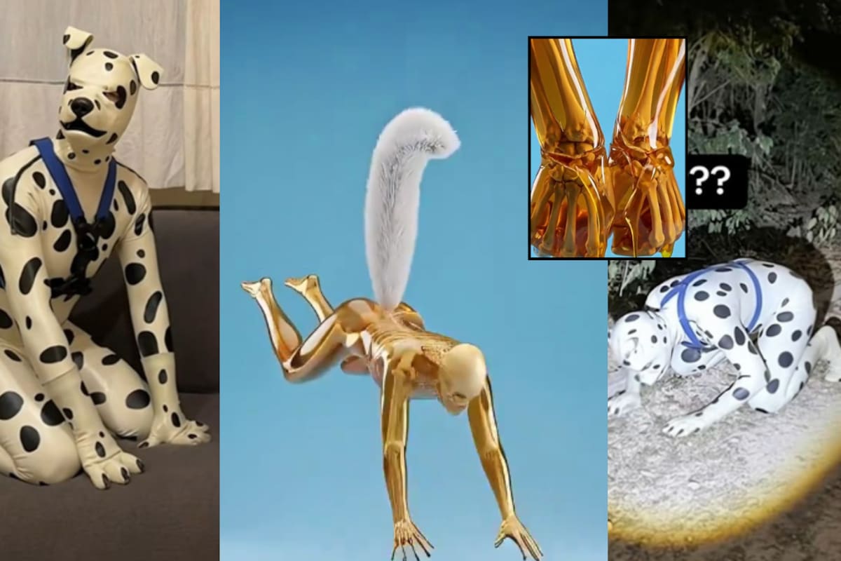 ¿Qué daños físicos podría sufrir una persona si actuara como “therian” por 24 horas? Esto dice un video viral