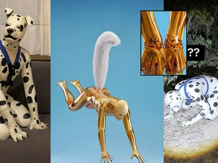 ¿Qué daños físicos podría sufrir una persona si actuara como “therian” por 24 horas? Esto dice un video viral