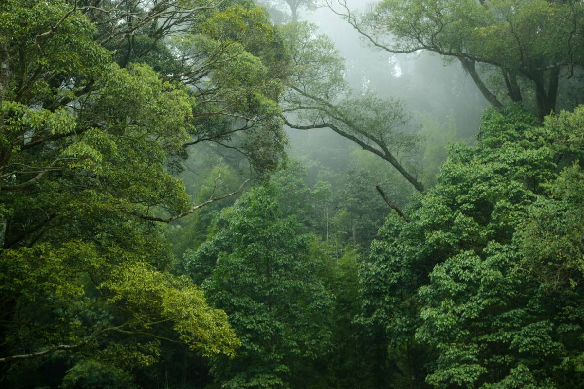Efemérides del 21 de marzo: ¿Qué pasó un día como hoy?