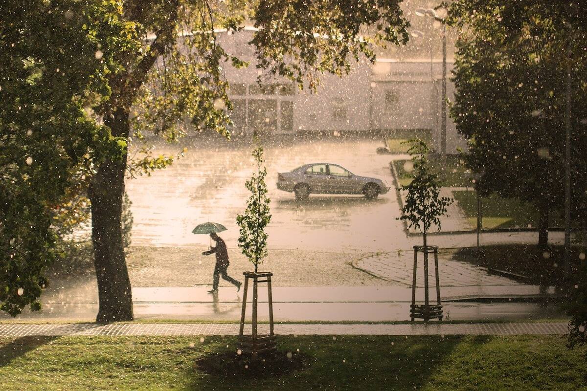 Clima en México: Continúan lluvias intensas con descargas eléctricas en varios estados del país