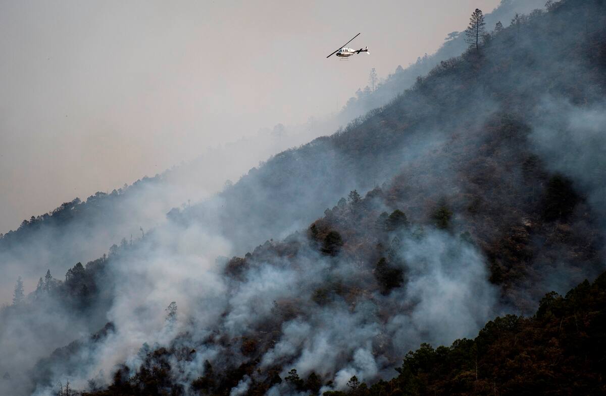 Vista de un incendio forestal en el poblado el Baratillo perteneciente al municipio de Arteaga, el 27 de marzo de 2021 en el estado de Coahuila (México). EFE/Miguel Sierra