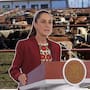 Sheinbaum dice que espera que “pronto haya una salida para la exportación” de ganado mexicano a EEUU
