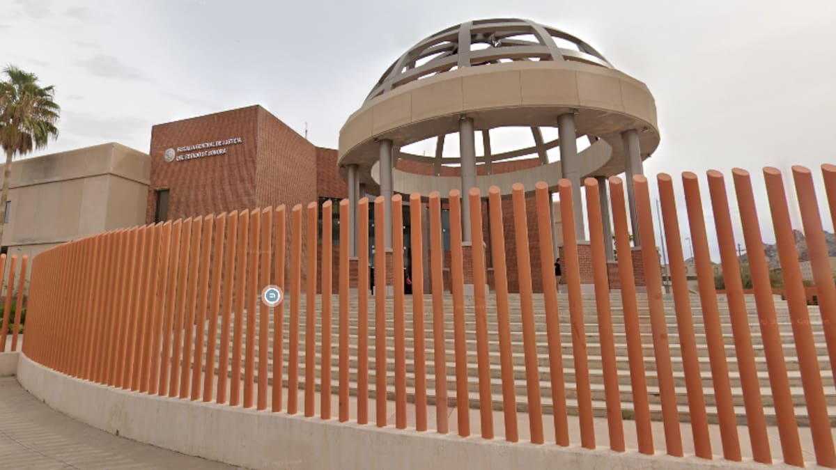 Rescatistas denuncian persecución legal en Ciudad Obregón: acusan corrupción y abandono de un perro atropellado