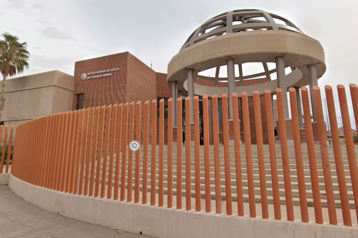 Rescatistas denuncian persecución legal en Ciudad Obregón: acusan corrupción y abandono de un perro atropellado