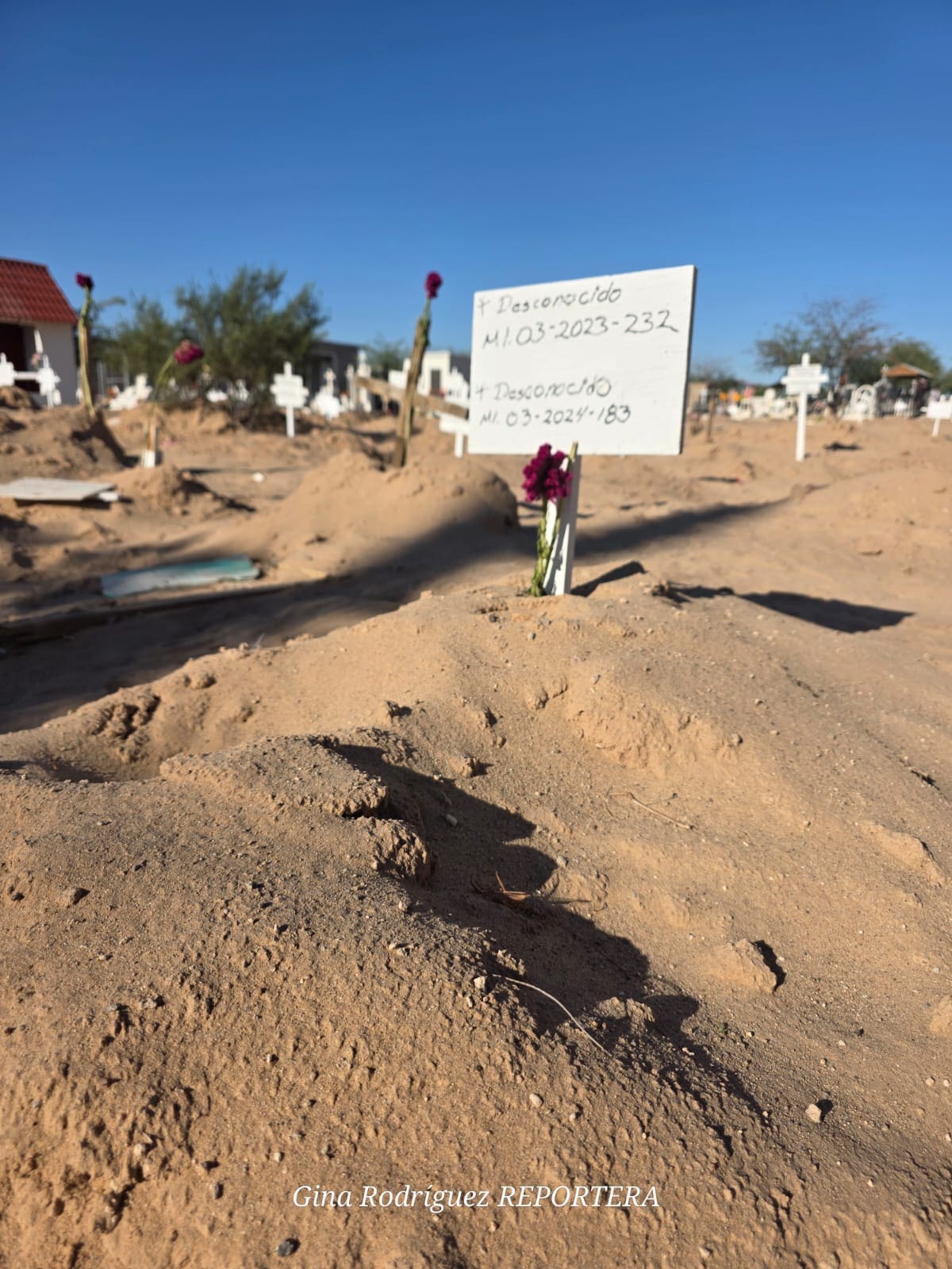 Foto: Gina Rodríguez.