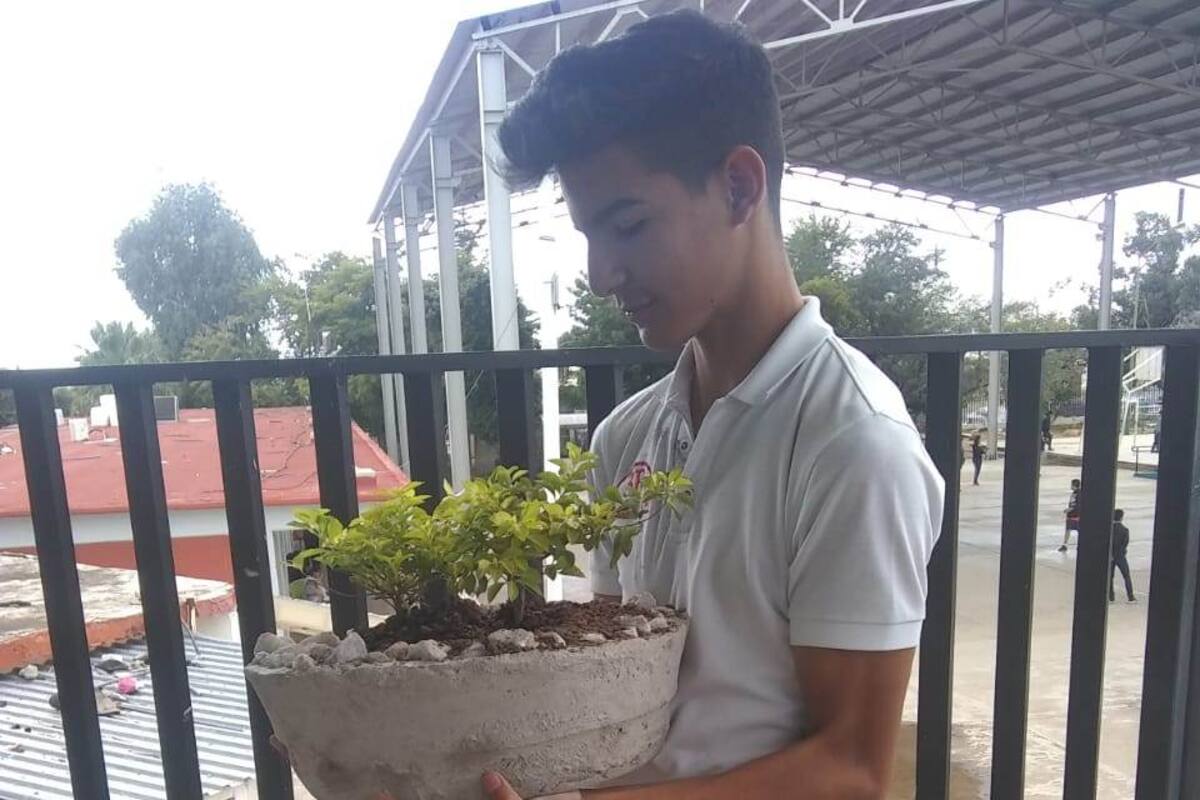 Estudiantes convierten cuadernos en macetas