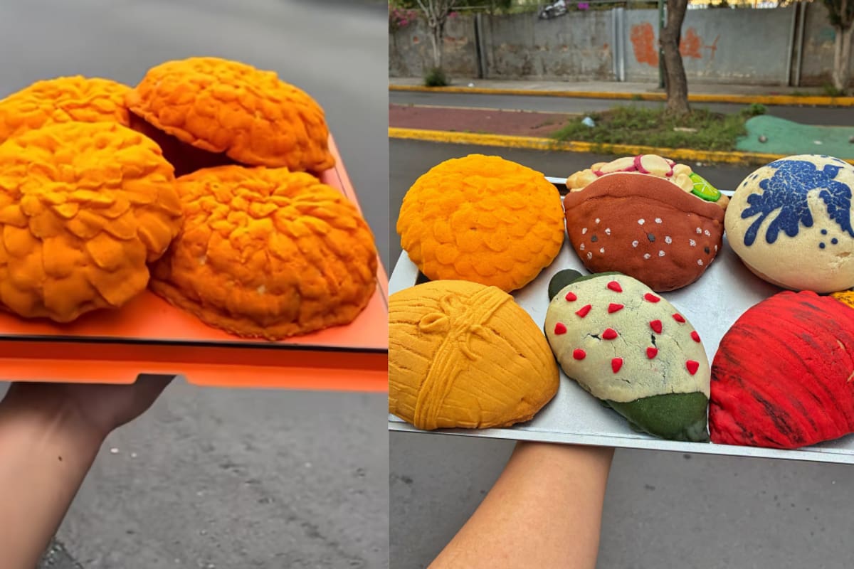 Conchasúchil en CDMX: precio y dónde comprarla para Día de Muertos 2026