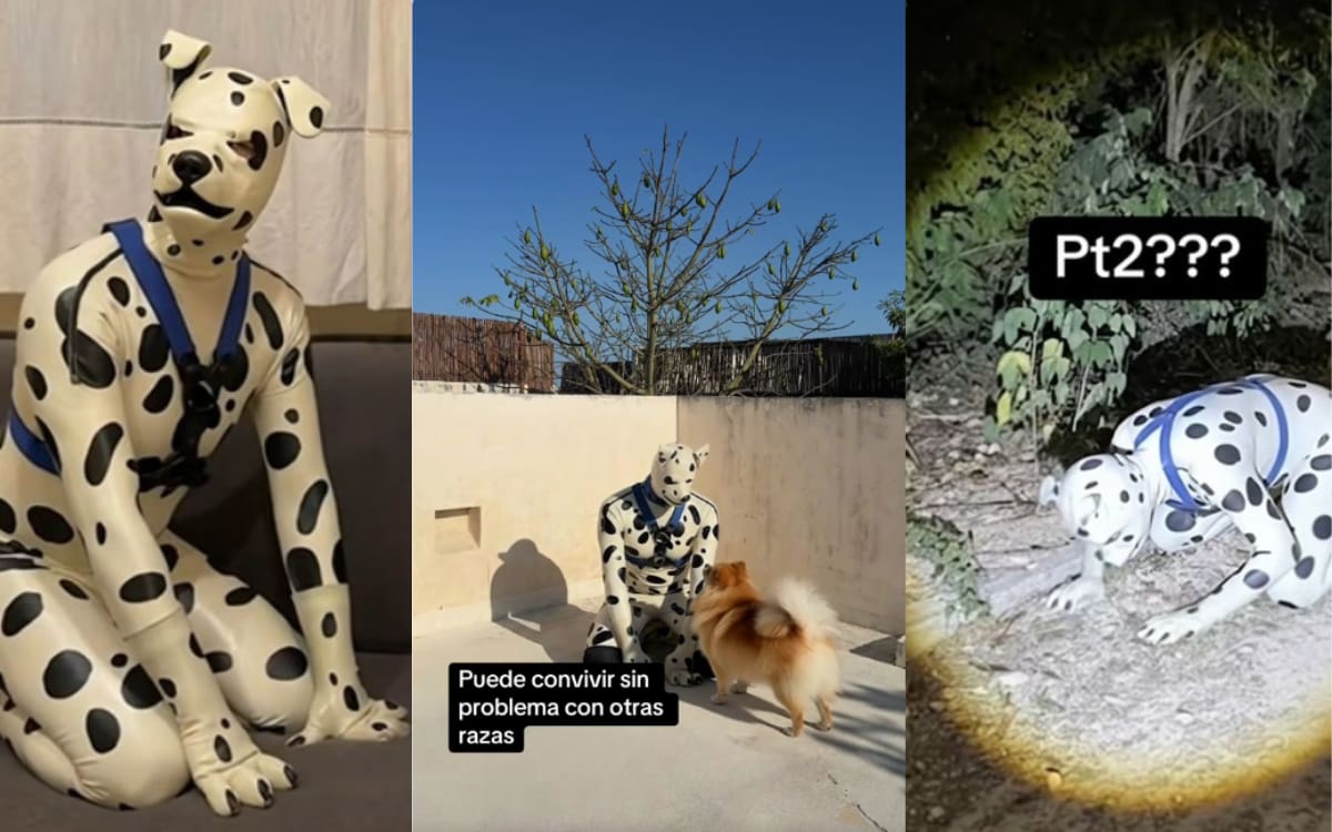 Abandonó su vida familiar en Argentina y ahora busca “adopción” en México como therian