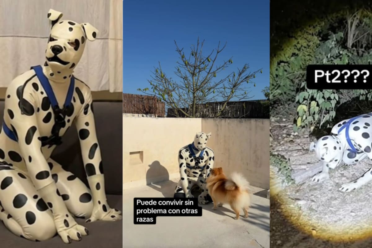 Abandonó a su esposa e hijos en Argentina y ahora pide ser adoptado en México como therian