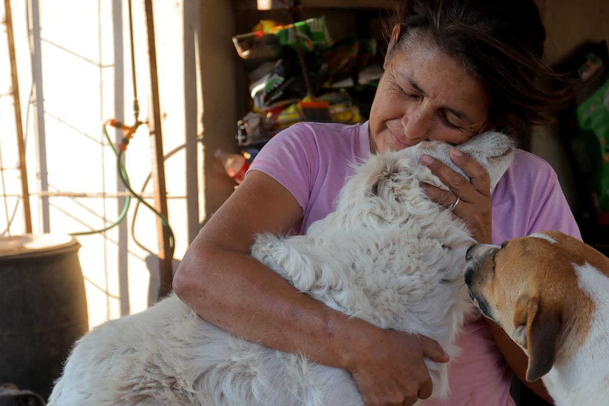 Dámaris ya siente el cansancio de cuidar a 200 perros