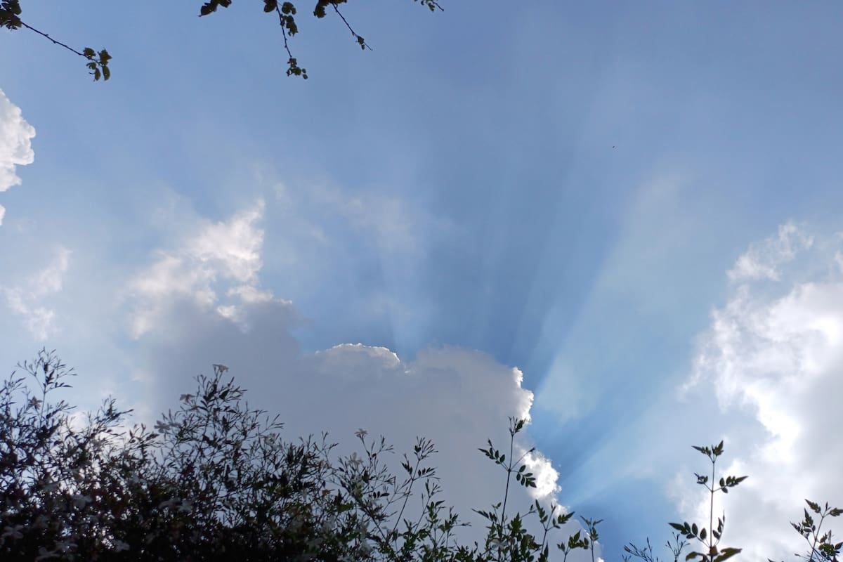 Dean Braxton: qué dijo el hombre que estuvo clínicamente muerto 105 minutos y volvió a la vida