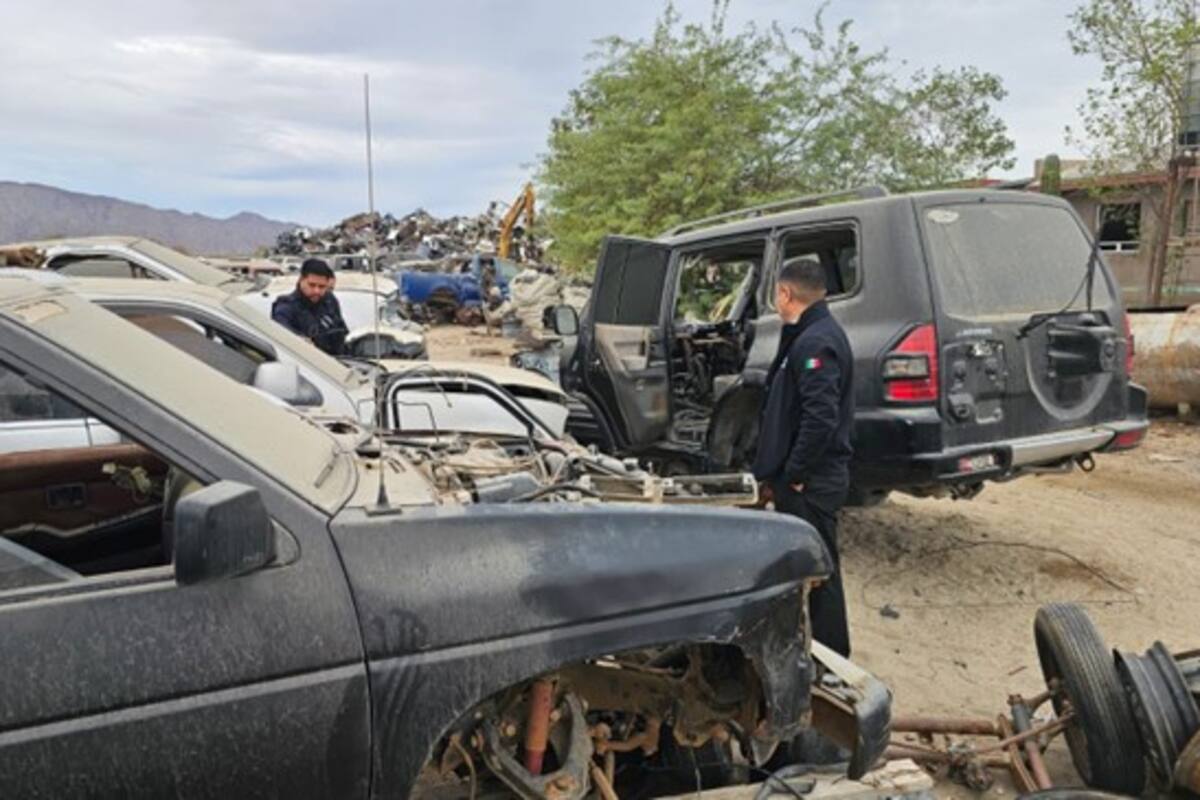 Operativos en yonkes y chatarreras buscan frenar el robo de vehículos en San Felipe