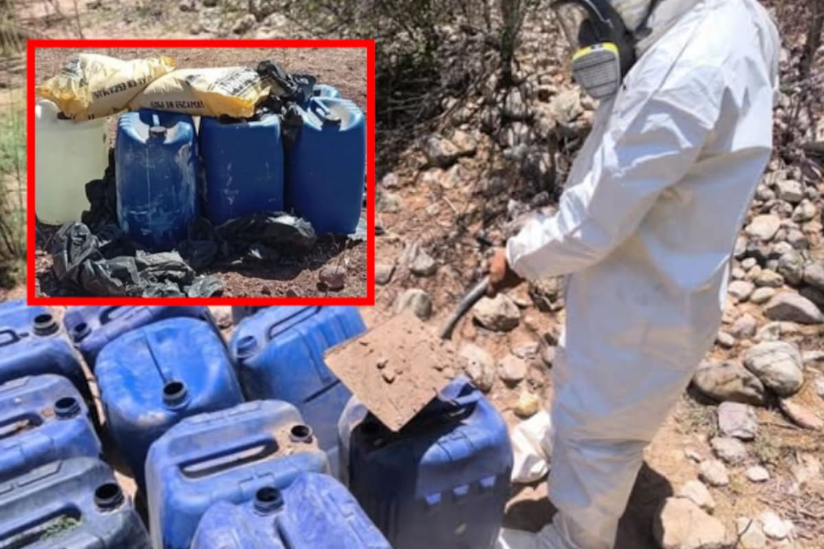 Aseguran zonas con precursores químicos y plantío de marihuana en Culiacán, Elota y Mocorito