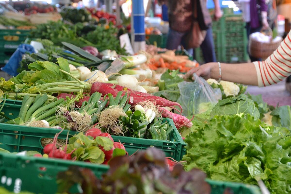 Sonora está en lugar 6 en hogares con más ingresos en México