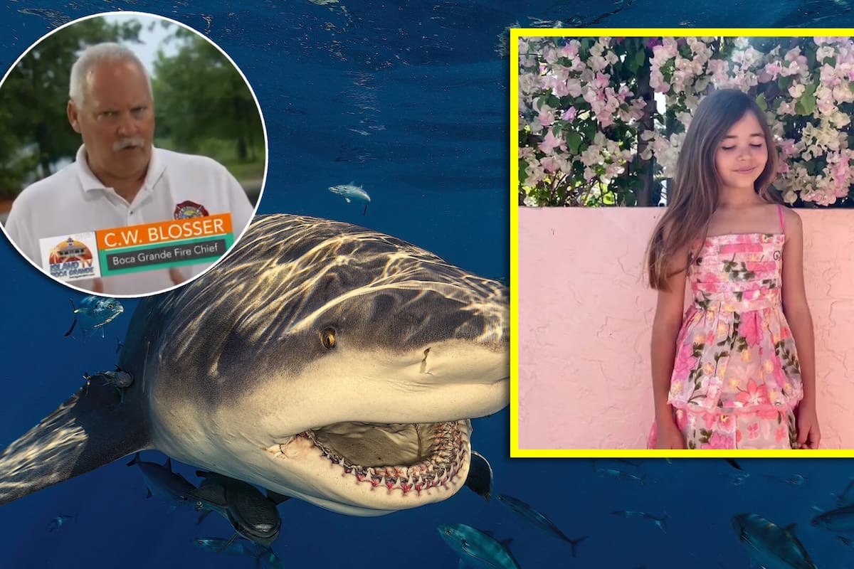 “Cuando vimos a la niña salir del agua, no tenía mano”: Leah, de 9 años, fue mordida por un tiburón mientras hacía snorkeling en una playa de Florida