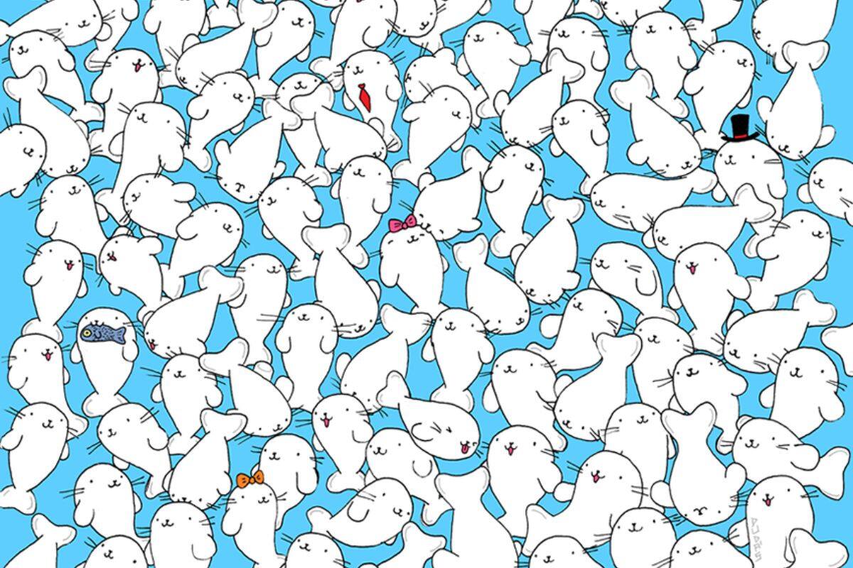 ¿Puedes encontrar el malvavisco entre las focas en menos de 15 segundos?