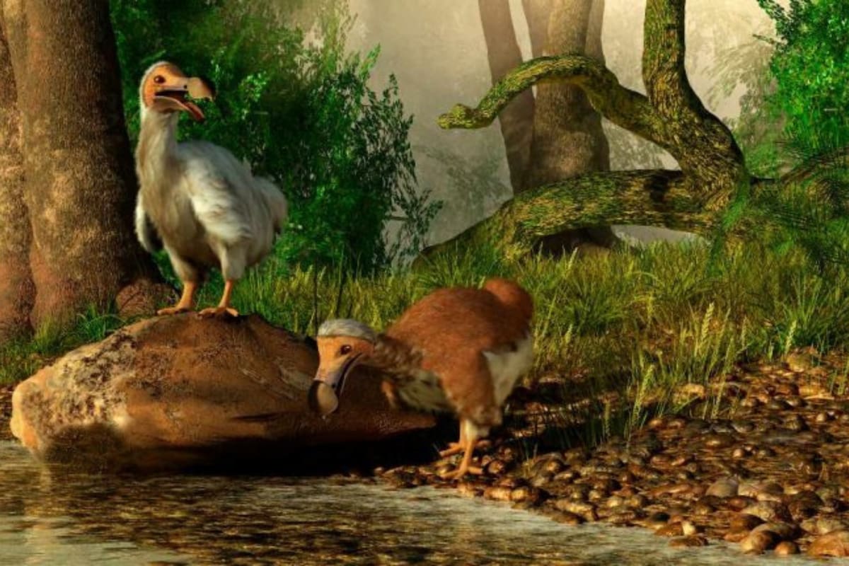 3 animales que se encuentran extintos