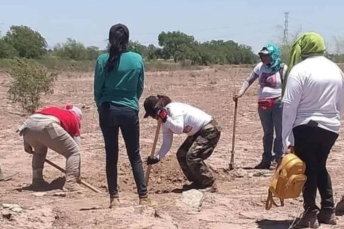 Condición de cuerpos encontrados retrasa proceso de identificación: Fiscal