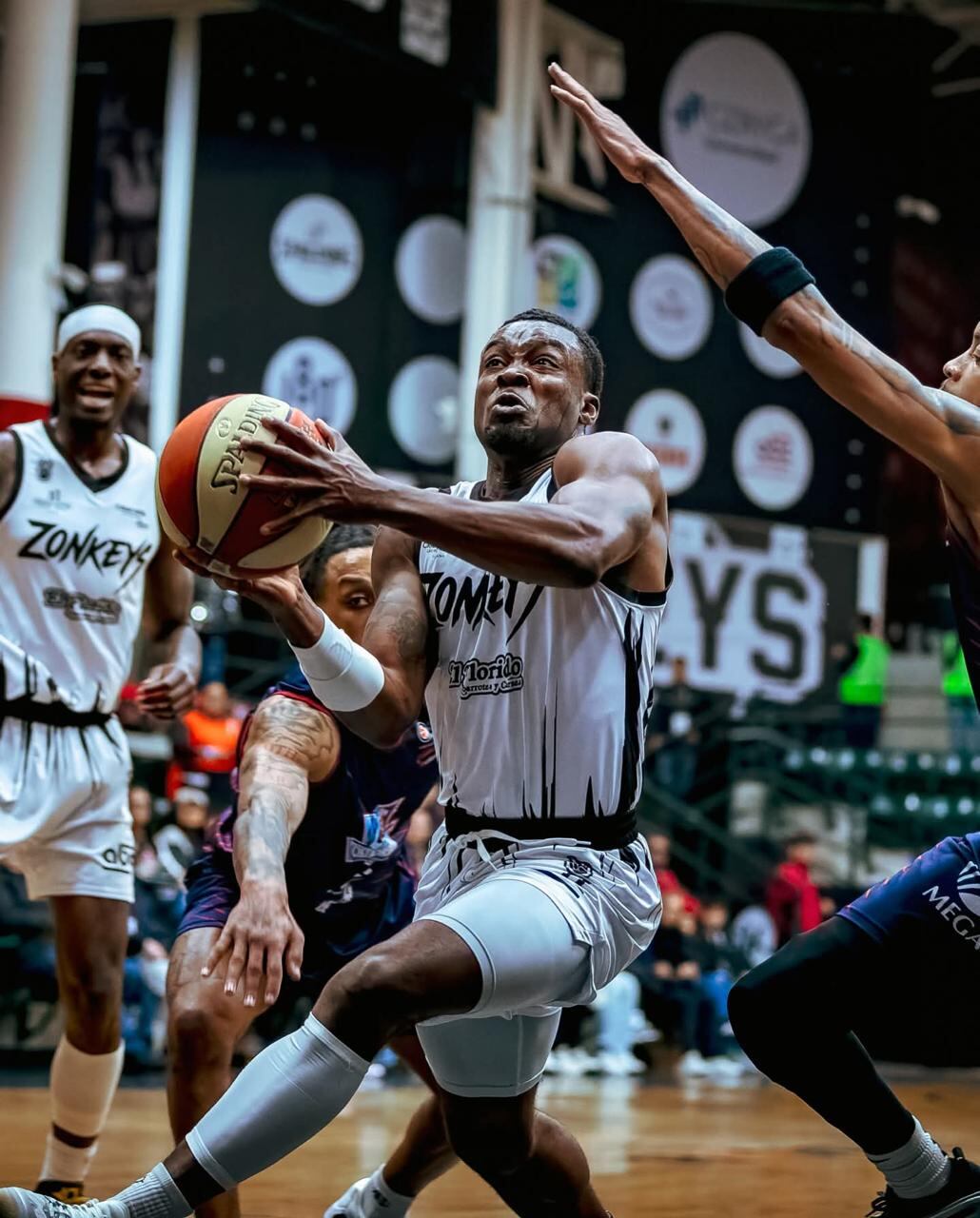 Zonkeys ganó su primer juego del año en Cibacopa Foto: Cortesía Zonkeys