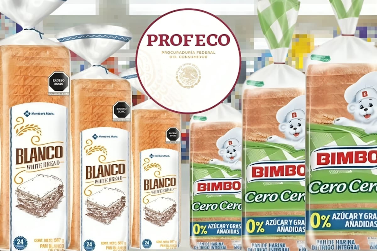 No todo el pan “integral” es saludable: Profeco detecta etiquetas engañosas y señala a Bimbo Cero Cero y Member’s Mark como las mejores opciones por su composición