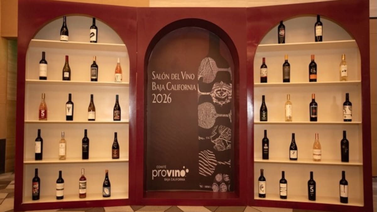 Vinos de Baja California buscan conquistar mercados del centro del país
