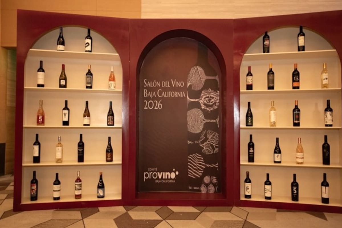 Vinos de Baja California buscan conquistar mercados del centro del país