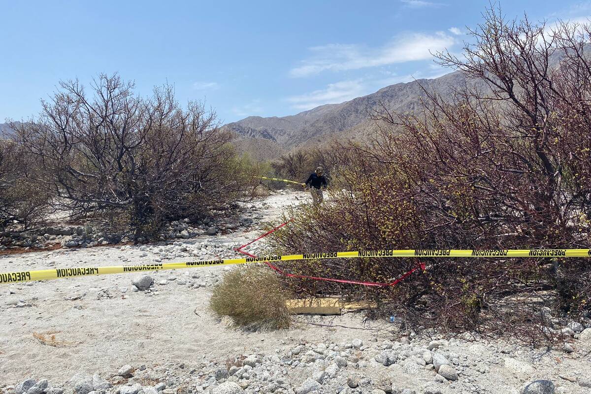 Buscadoras encuentran restos humanos en San Felipe