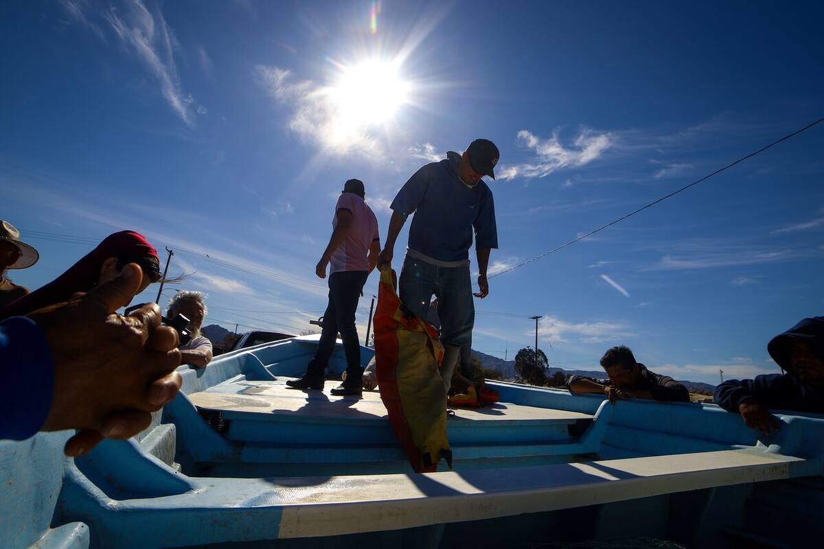 Saldrán al mar pescadores el próximo viernes