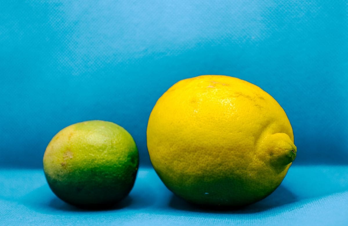 Poner un limón debajo de la cama: el significado de este método casero para “limpiar” el ambiente | Foto: Especial (canva)