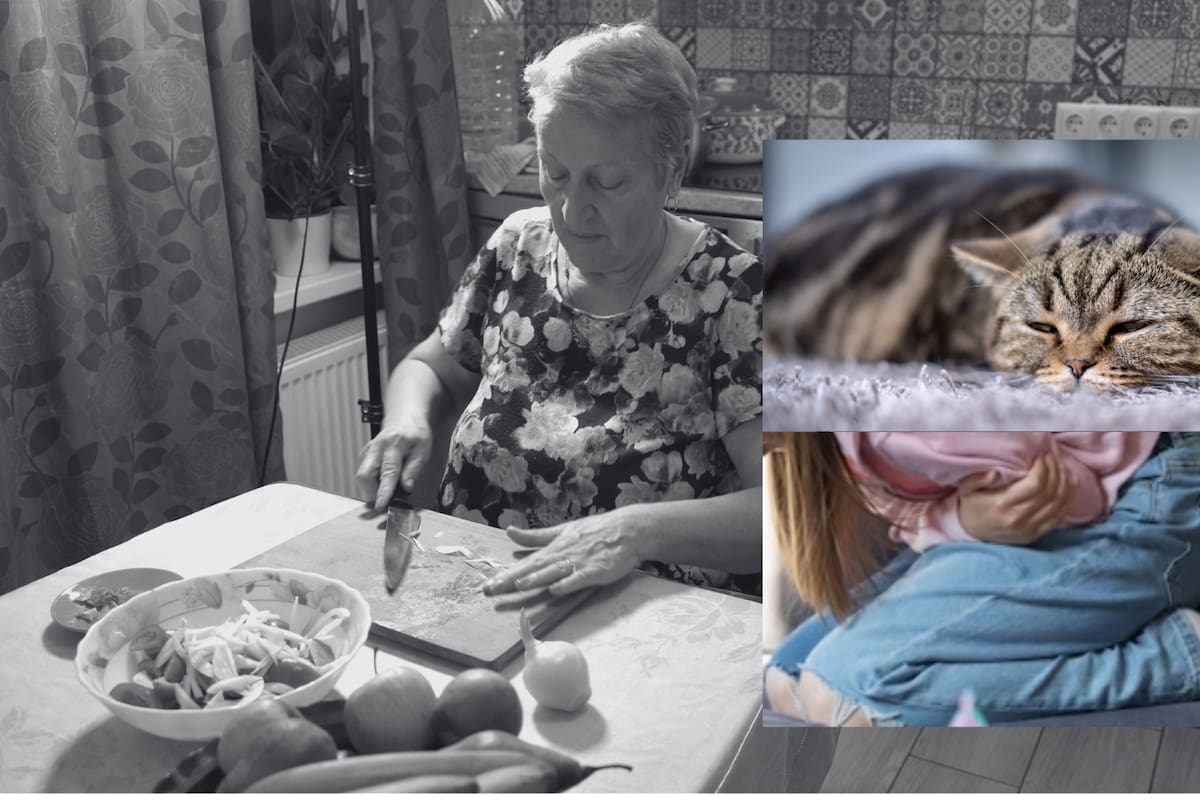 Abuela es detenida tras envenenar a su nieta y al gato con un pastel
