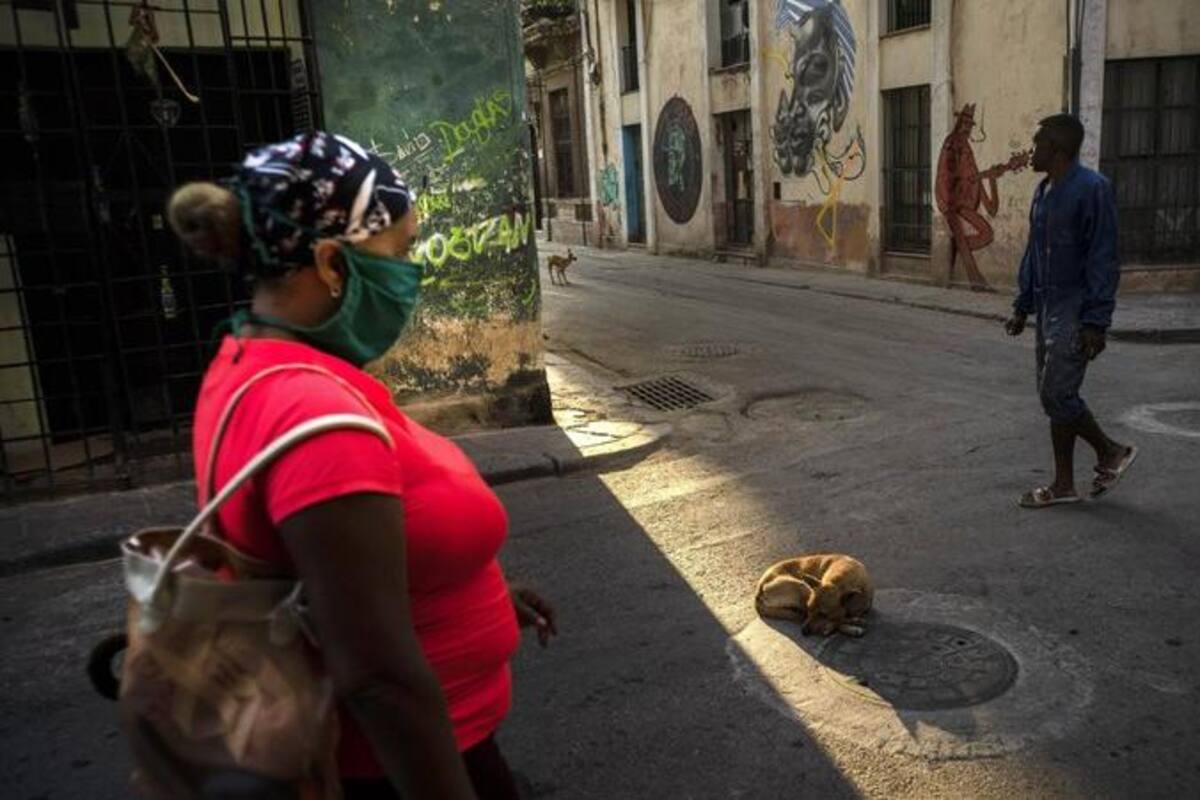Cuba repartirá fármaco homeapático entre población vulnerable
