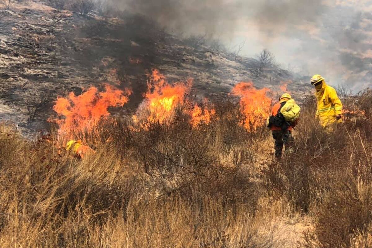 Pronostica Protección Civil estatal onda de calor para el fin de semana en BC