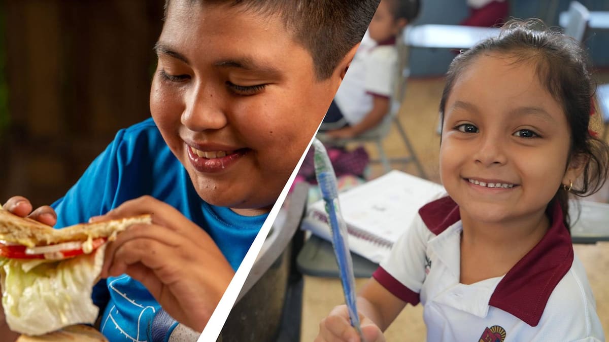 Millones de estudiantes en México podrían recibir comida gratuita o a bajo costo en escuelas, de aprobarse una reforma a la Ley General de Educación propuesta por diputados