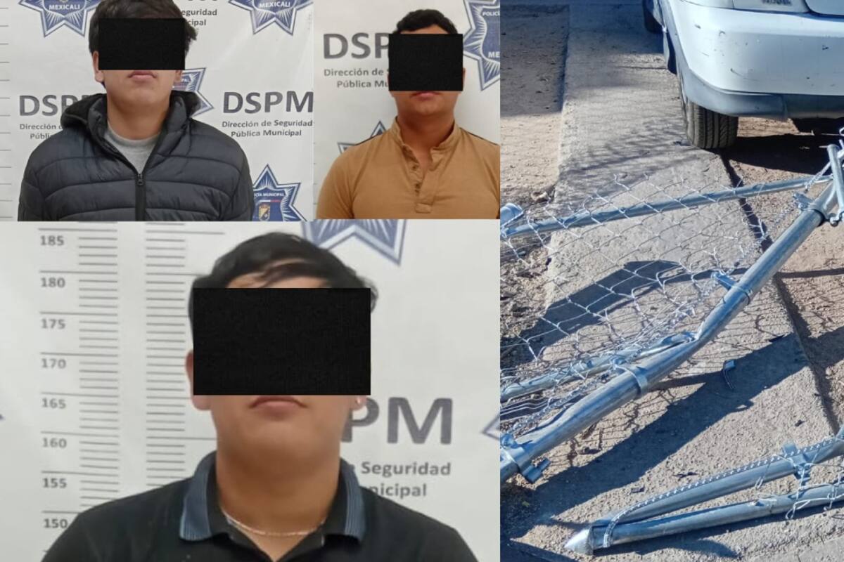 Riña termina con daños en domicilio; arrestan a tres hombres en Lomas Altas