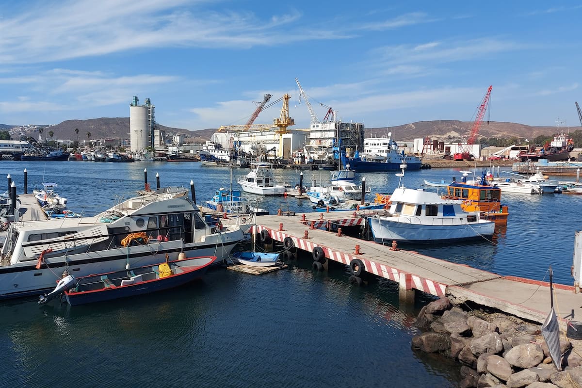 Temen afectación a la pesca con ampliación de El Sauzal