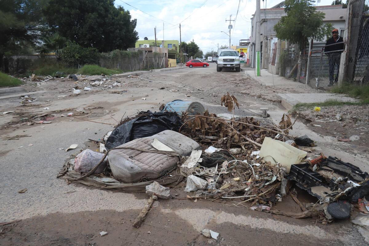 Vecinos de la Cuatro Olivos piden embovedar arroyo