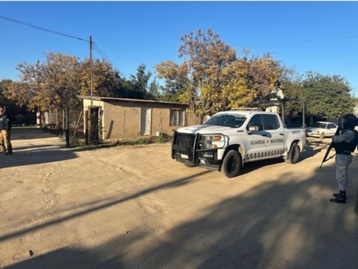 Rescatan a dos perros víctimas de maltrato en Valle de Guadalupe