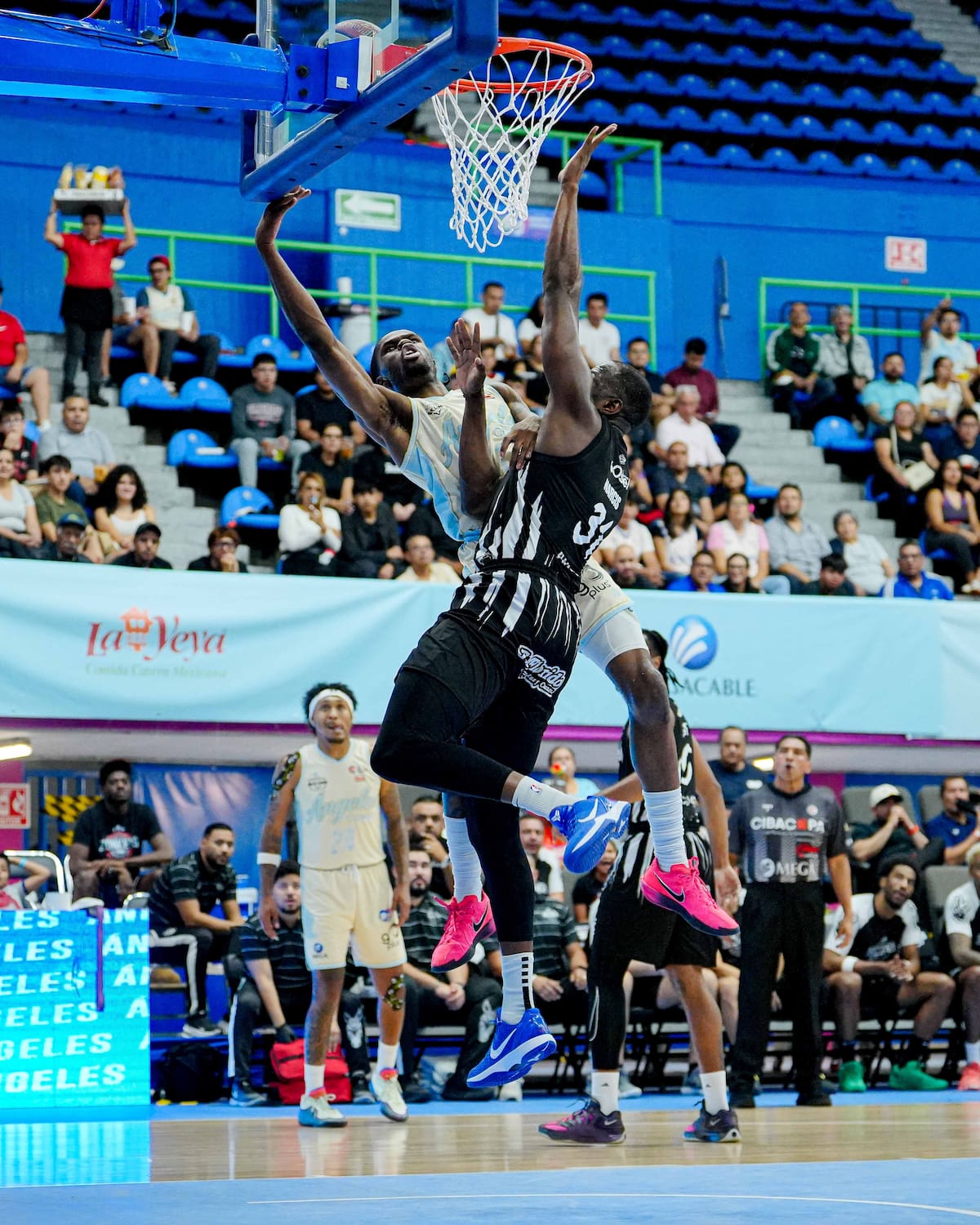 La quinteta tijuanense forzó el tiempo extra con un triple de Shane Rector en los últimos segundos, pero terminó cayendo 80-78 ante Ángeles CDMX en el séptimo juego de la serie. Foto: Cortesía | Zonkeys
