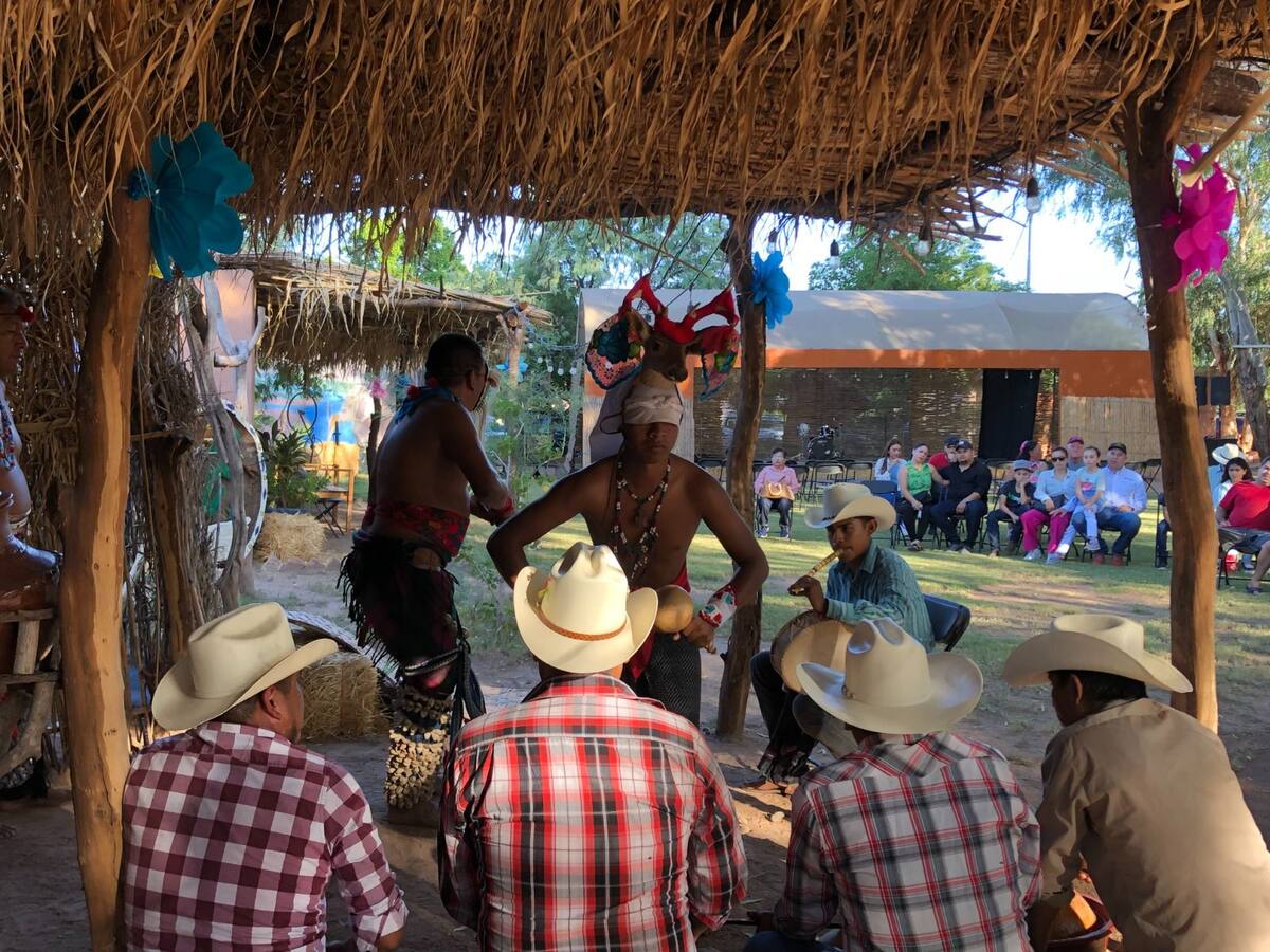 Este mes se realizará un Evento de Cultura Viva Yaqui y un mercado orgánico.