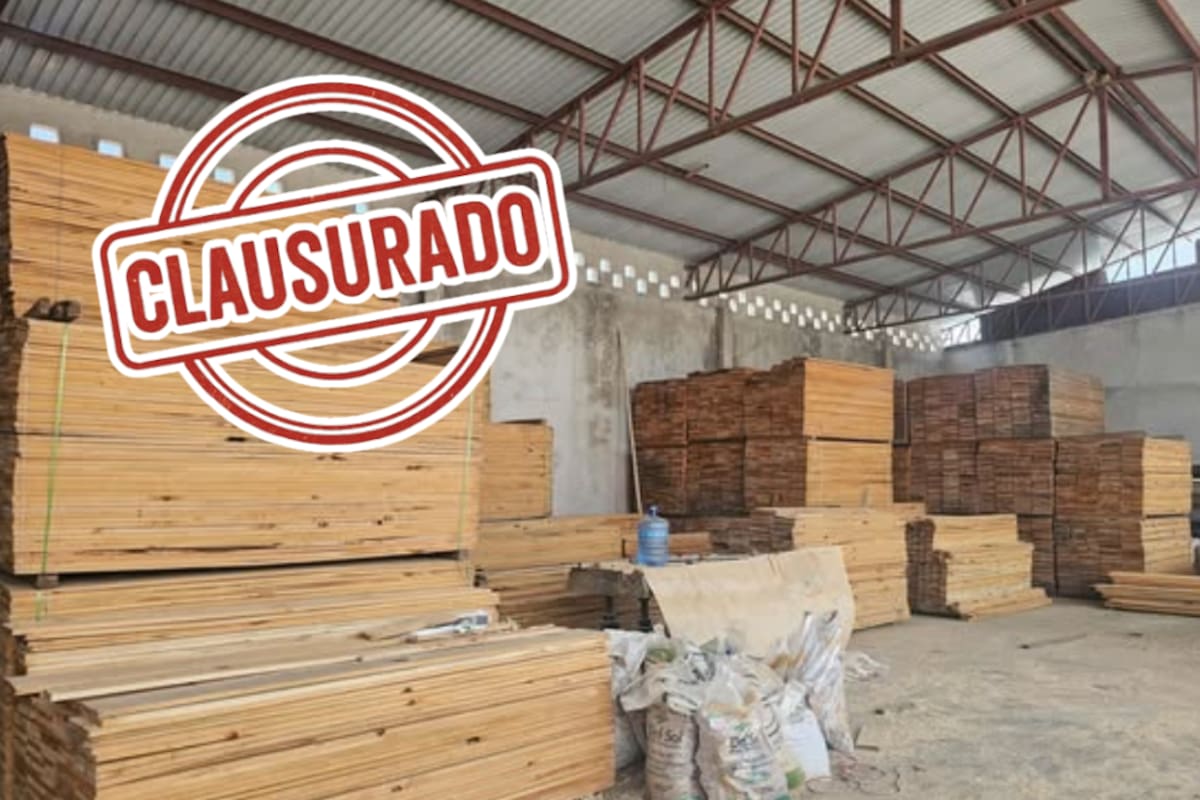 Clausuran maderería y frenan fraccionamiento irregular tras tala ilegal en Querétaro
