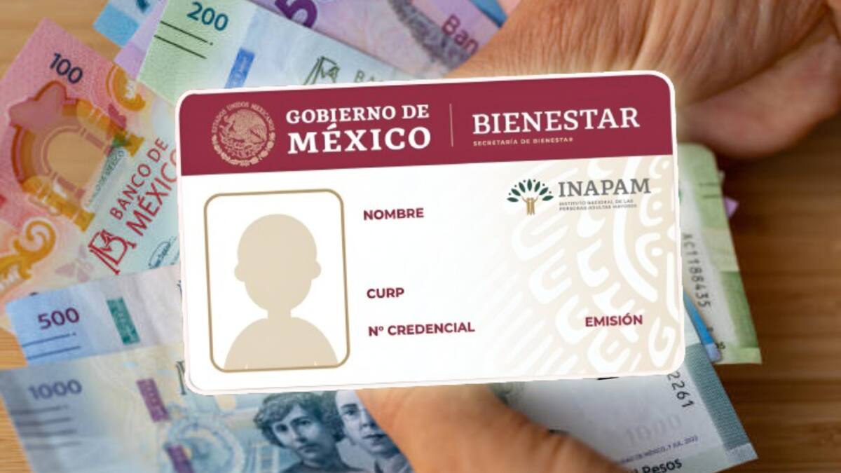 Con la tarjeta Inapam puedes tener varios descuentos.