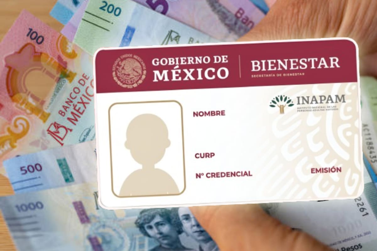 INAPAM suspende actividades hasta el 6 de enero de 2026: estos servicios no operarán